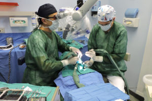 Endodonzia chirurgica: trattamento di un ascesso | Studio Mario Lisa